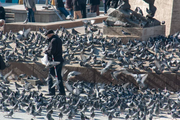 Ancara Turquia Janeiro 2020 Homem Alimentando Aves Praça Crescente Vermelho — Fotografia de Stock