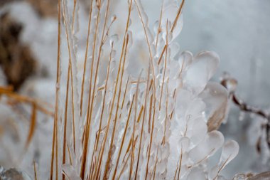 Karlı havada suyun donmasıyla oluşan kristaller.