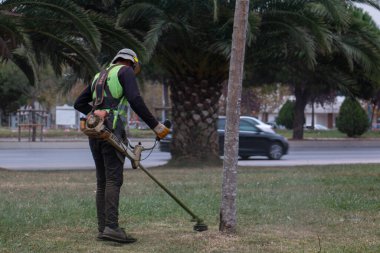 11 Kasım 2019 İstanbul / Türkiye makineli çim biçme makinesi