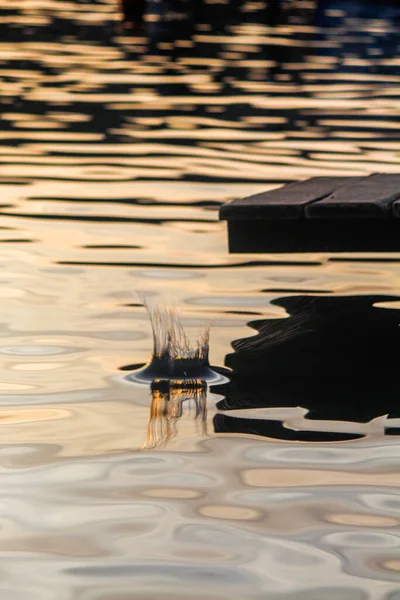 Denize atılan su ve taşlar.