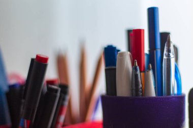 Kalem kutusuna koyulan güzel renkli kalemler.