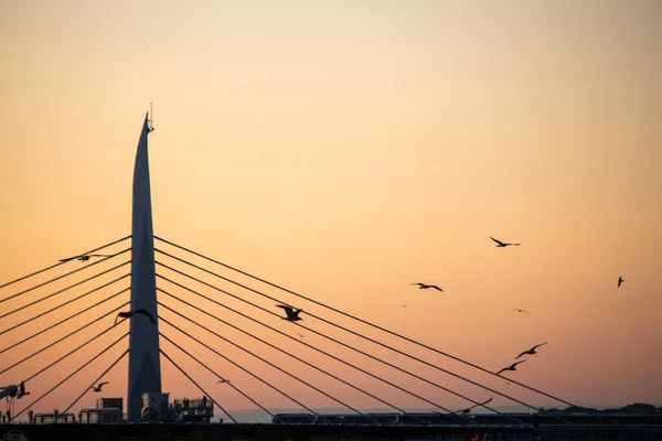 Vögel Fliegen Nachmittag Über Die Moderne Brücke — Stockfoto