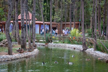 Kocaeli / Türkiye 19 Eylül 2020 Izmit Ormanya Yaşam Alanı. İnsanlar yürüyor, parkta geziniyor.