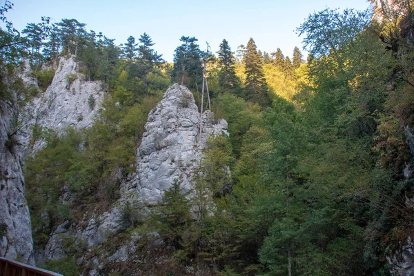 Горма Каньйон Національний Парк Куре Маунтінс Води Проходять Через Гори — стокове фото