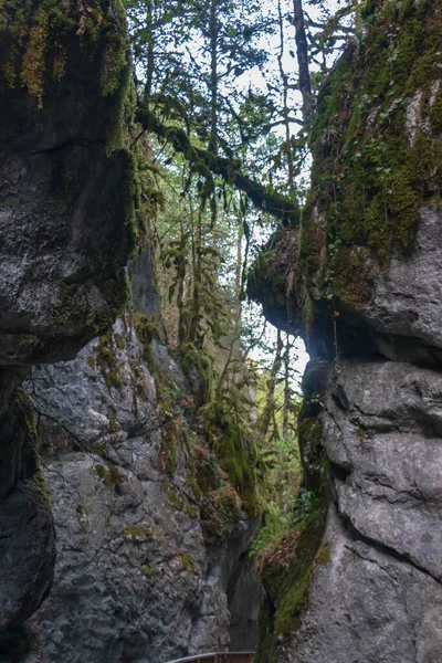 Canyon Horma Parc National Des Monts Kure Eaux Traversant Les — Photo