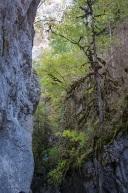 Horma Kanyonu, Kure Dağları Ulusal Parkı. Dağlardan geçen sular ve tehlikeli yürüyüş yolları.