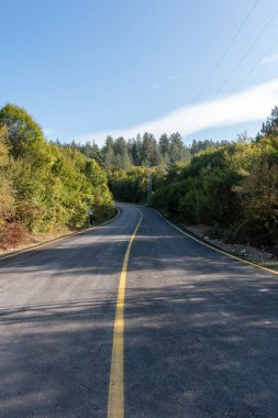 Sarı yol ve orman hemen yanında.