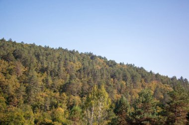 Dağın üzerinde ağaçlar dizildi. Safranbolu / Karabuk