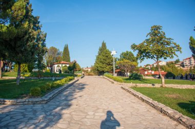 Yeşil ağaç ve Safranbolu Hidirlik tepesi. Karabuk / Türkiye