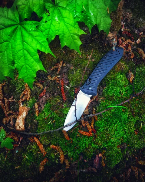 Folding knife on moss in the forest wood background