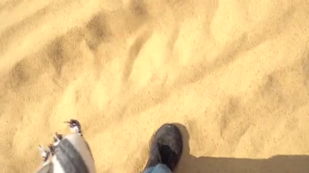 Bau Trang Sand Dunes Sub Sahara Desert Binh Thuan Province — Stock Video