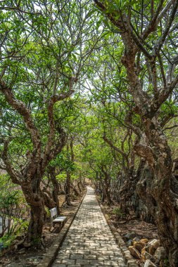  Vung Tau şehrinin Beyaz Sarayı