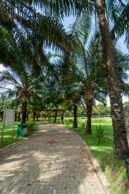  Vung Tau şehrinin Beyaz Sarayı