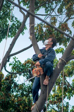  Vung Tau şehrinin Beyaz Sarayı