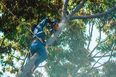  Vung Tau şehrinin Beyaz Sarayı