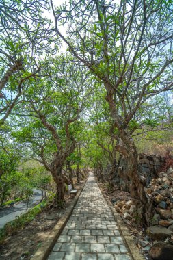  Vung Tau şehrinin Beyaz Sarayı