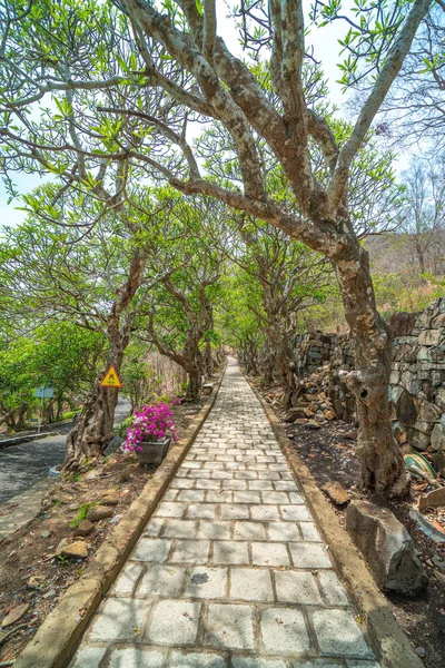  Vung Tau şehrinin Beyaz Sarayı