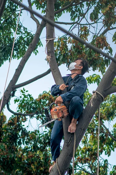  Vung Tau şehrinin Beyaz Sarayı