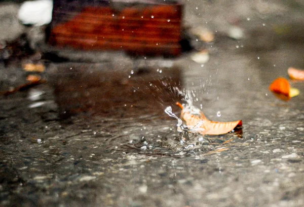 Water Drop Rain — Stock Photo, Image