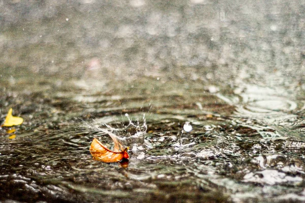 水滴下在Rain — 图库照片