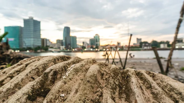 Öğleden sonra Saigon Nehri 'nde, Vietnam