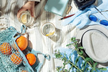 Kadınsı yaz pikniği bezi, meyveler, meyveler ve limon suyu çizgili pamuk battaniye üzerinde