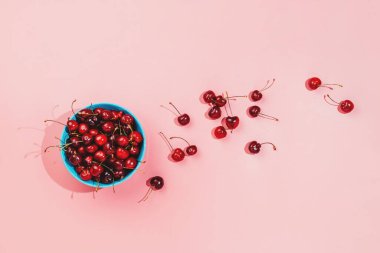 Pembe arka planda taze organik kirazlarla dolu mavi bir kase.