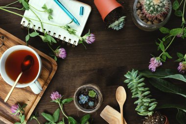 Çiçek, sulu çay ve ahşap masa üzerinde defter, yayılma, bahçıvanlık ve yeniden ekme ya da yavaş yaşam konsepti