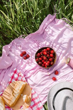 Sıfır atık yaz pikniği ahşap hindistan cevizi kasesinde vişne, taze ekmek ve cam şişe meyve suyu pembe battaniye üzerinde meyve suyu, düz yatak