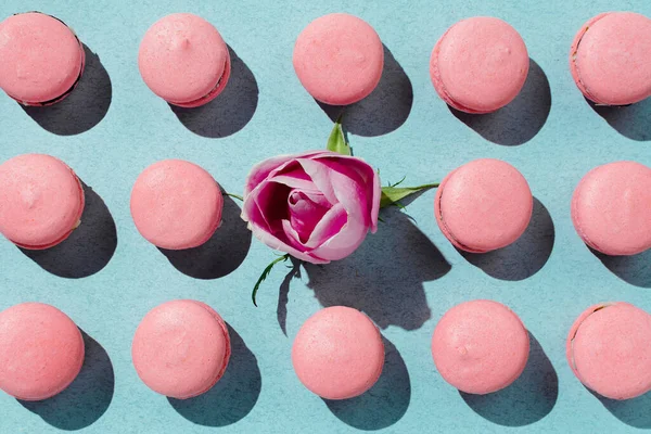 Pembe vejetaryen badem kurabiyeleri ve gül tomurcukları pastel arka planda eklenmiş.