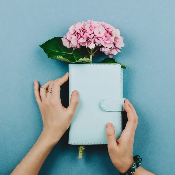 Flatlay Pink Hortensia Flower Notebook Planner Woman Hands Blue Square — Stock Photo, Image