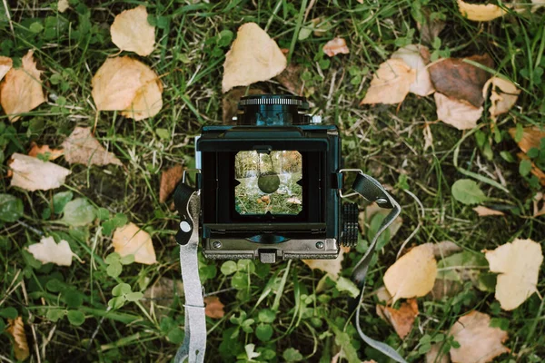 Flatlay of vintage two-lens camera with reflection of trees and forest on green grass and yellow leaves