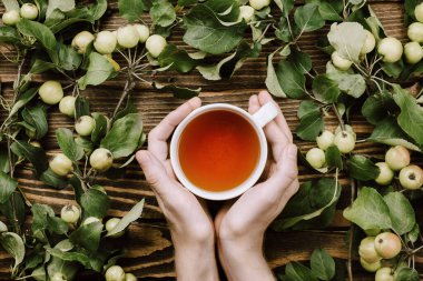 Elma ağacının dallarıyla, olgun meyvelerle dolu güzel sonbahar sıcacık örtüsü, ahşap masada bir fincan sıcak çay tutan kadın elleri.