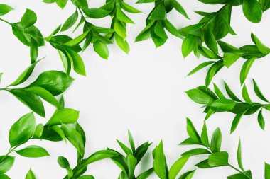 Yeşil yeni şubeler arkaplan, düz döşeme, telif alanı