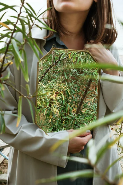 Closeup of woman holding mirror with sea buckthorns berries bushes reflection, selective focus