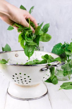 Beyaz ahşap masanın üzerinde taze organik ıspanağı tutan bir kadının eli. Seçici odak