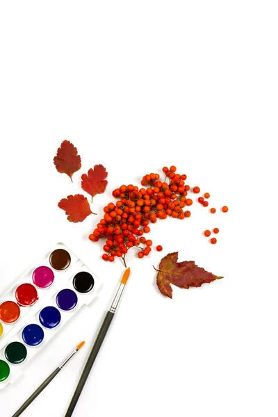 Red Leaves Rowan Berries Pen Water Colors Autumn Concept — Stock Photo, Image