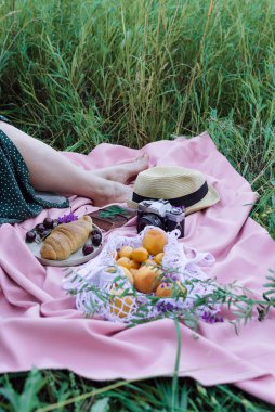 Çimenlerin üzerinde pembe bir battaniye üzerinde kadın bacakları, taze meyveler, meyveler ve açık hava hamur işleri.