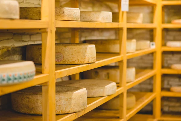 Big cheese heads on a wooden shelf in a cellar