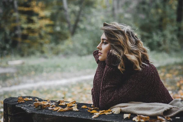 Joven hermosa mujer sentada en el bosque de otoño con hojas naranjas caídas y luz solar —  Fotos de Stock