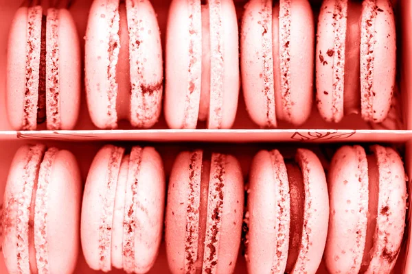 Mercan rengi yaşayan bir kutu içinde macaroons kümesi tonda. Yıl 2019 kavramı rengini.