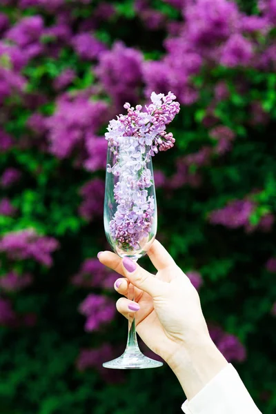 Weibliche Hand hält Glas mit lila Blüten im Inneren. — Stockfoto