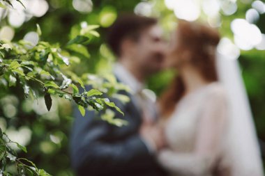 Düğün tarzı soyut bulanık arka plan gelin ve damat parkta öpüşme