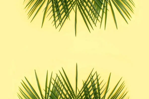 Sarı arka planda tropikal palmiye yaprağı. Yaratıcı kolaj. — Stok fotoğraf