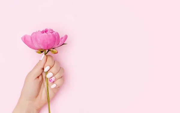 Woman hand with trendy nail art manicure holding peony flower on pink background — Stock Photo, Image