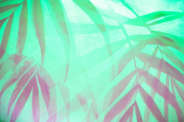 Zielona tropikalna Palma pozostawia cień w modnym tle neon. — Zdjęcie stockowe