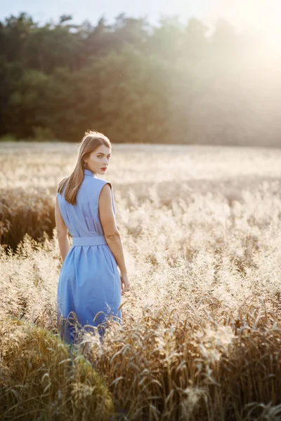 在麦田里穿蓝色连衣裙的迷人金发女郎的后视图. — 图库照片