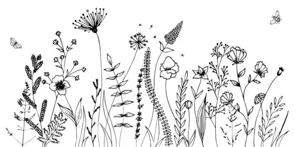 从白色背景中分离出的草 尖刺和草本植物的黑色轮廓 手绘素描花和蜜蜂 彩色书页设计 家居装饰和纺织品元件 — 图库矢量图片