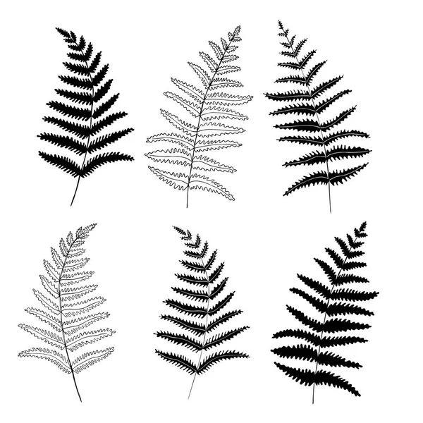 Black Silhouettes Grass Spikes Herbs Isolated White Background Hand Drawn Stock Vector