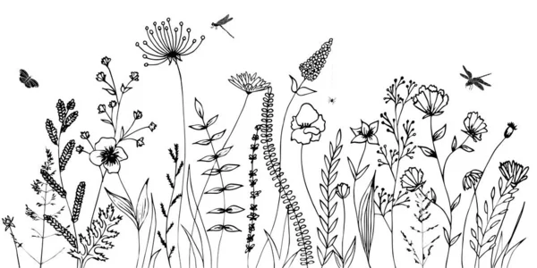从白色背景上分离的草 草本和各种昆虫的黑色轮廓 手绘素描花和昆虫 — 图库矢量图片